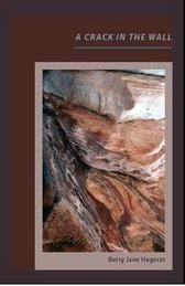 Crack in the Wall cover